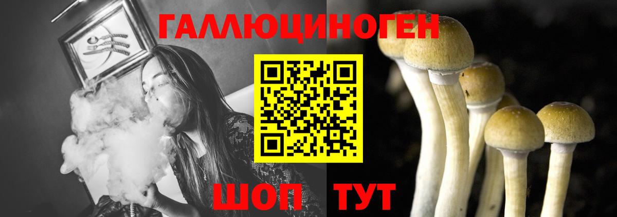 Галлюциногенные грибы MAGIC MUSHROOMS  Вход с VPN  Кореновск 